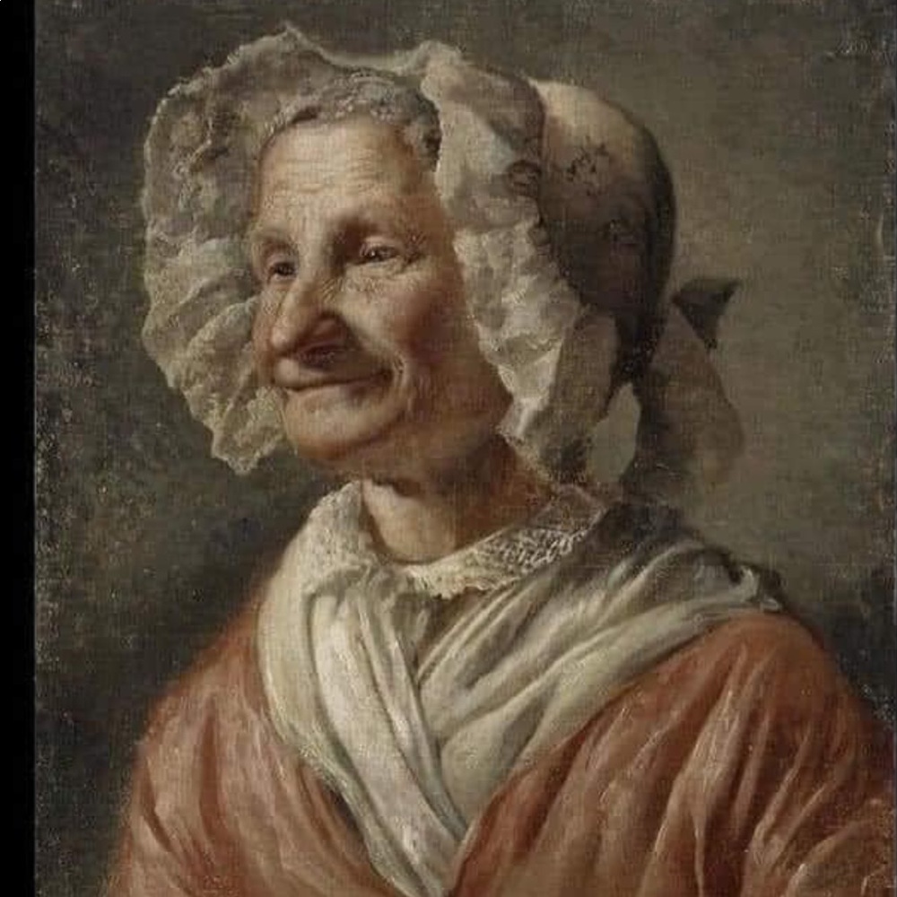 NWT $84 PLUME REVERSIBLE SEAMLESS  WAVE FULL